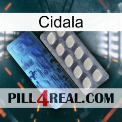 Cidala 34